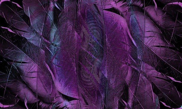 Purple feathers